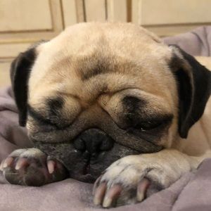 Meet your Posher, Charlotte